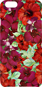 cover Tropical Flowers