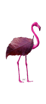 cover Flamingo d'Autunno 