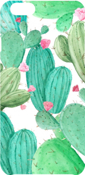 cover cactus pattern