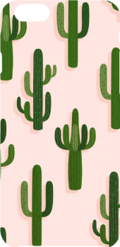 cover cactus pattern