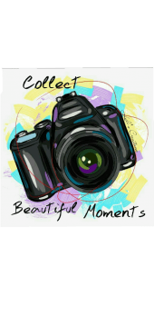 cover Cover 'Collect beautiful moments ' 