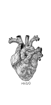 cover Anatomical Heart Girl