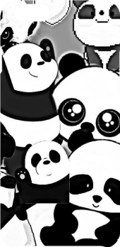 cover Panda