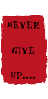 cover NEVER GIVE UP...