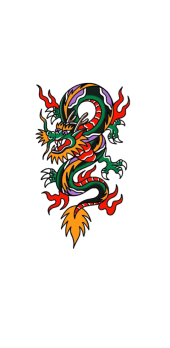 cover dragon