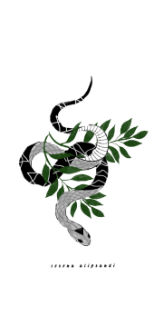 cover Snake Outline Digital Art