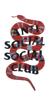 cover #assc #gucci #snake #antisocialsocialclub