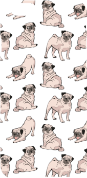 cover cover Pug