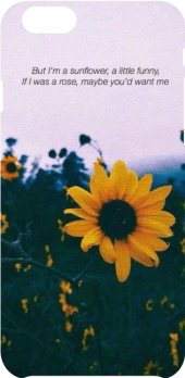 cover Cover Tumblr 