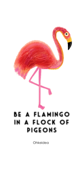 cover Flamingo