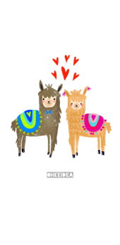 cover Llamas in love 