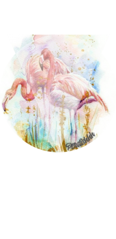 cover Pink flamingo