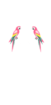 cover traveler