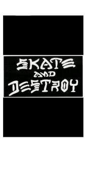 cover Skate And Destroy cover