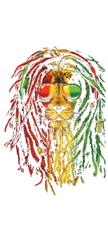 cover Reggae Lion