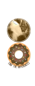 cover Donut Cat