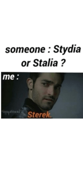 cover Sterek