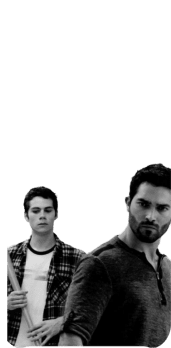 cover Sterek