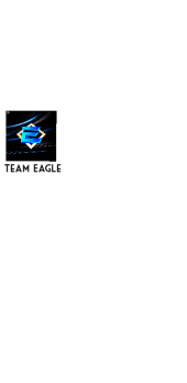 cover Team Eagle