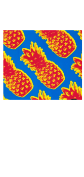 cover Ananas orange and blue