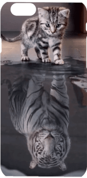 cover gatto-tigre
