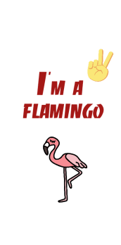 cover I'm a Flamingo