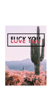 cover FUCK AND LOVE