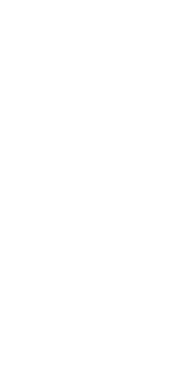cover The Chosen Pessimist