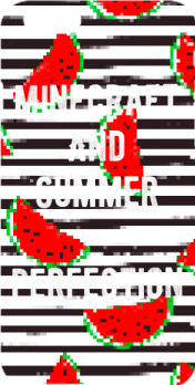 cover I Love Minecraft... I Love Summer...