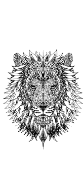 cover Mandala Lion