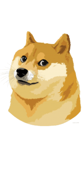 cover Doge Meme