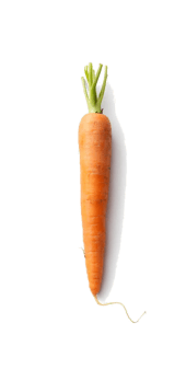cover Carrot