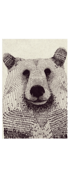 cover bear