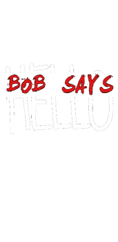 cover Bob says hello