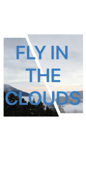 cover FLY IN THE CLOUDS