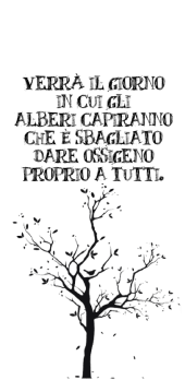 cover ALBERO