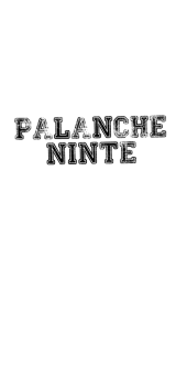 cover palanche ninte