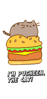 cover Pusheen Cat