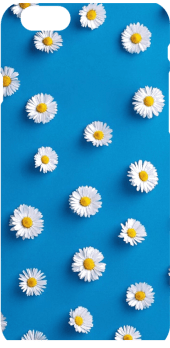cover daisy