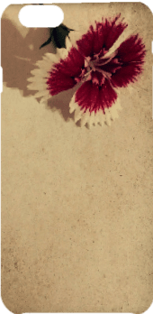 cover Flower