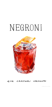 cover NEGRONI style 