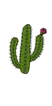 cover cactus