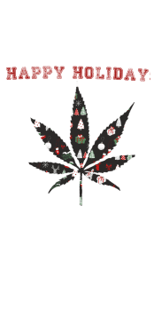 cover Happy holidasy 420