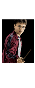 cover maglia Harry Potter