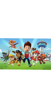 cover paw patrol