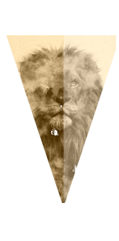 cover lion shape