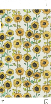 cover sunflower 