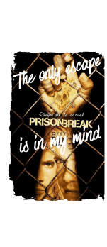 cover prison break