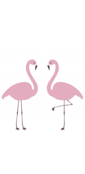 cover flamingo