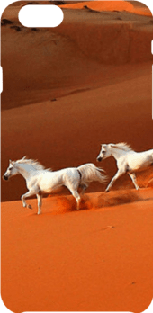 cover horses running